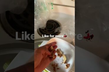 Gourmet meals for Le Chickens