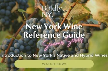 New York Wine Reference Guide: Introduction to New York’s Native and Hybrid Wines