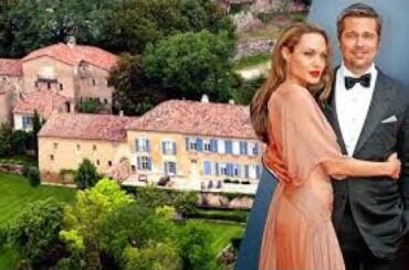 Brad Pitt files legal complaint against Angelina Jolie for selling part of shared French vineyard  2