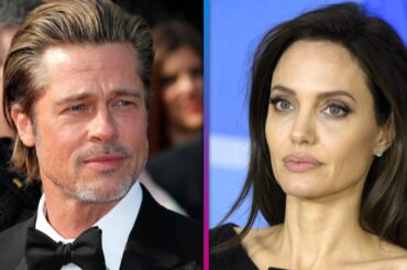 Brad Pitt Alleges Angelina Jolie Sold Her French Vineyard Share to Harm Him