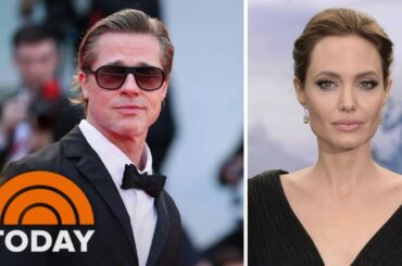 Brad Pitt claims Angelina Jolie unlawfully sold her stake in vineyard