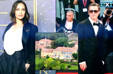 Brad Pitt Claims ‘VINDICTIVE’ Angelina Jolie Secretly Sold Winery to Harm Him