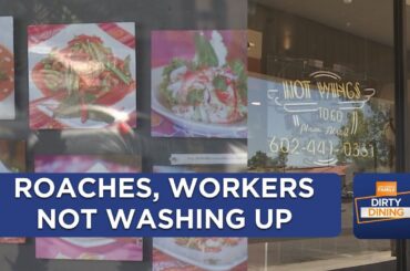 Cockroaches on the cookline, workers not washing up among Phoenix-area health violations