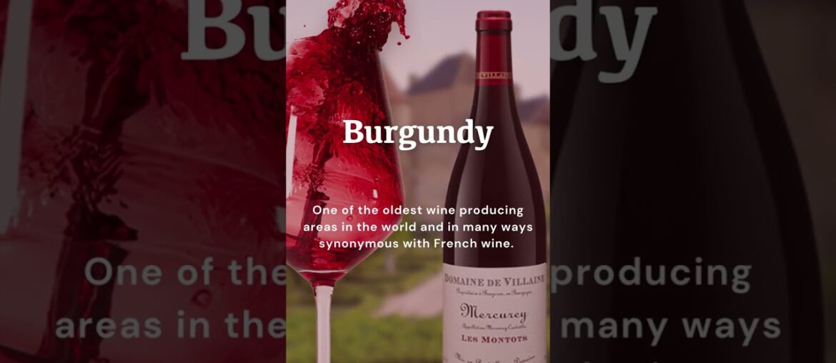 Reels Instagram French wine and the great French wine regions call for a wine journey