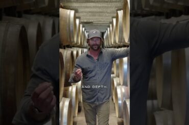 Why French Oak Barrels? | Winemaking #wine #pinotnoir #winetasting #willamettevalley #winery