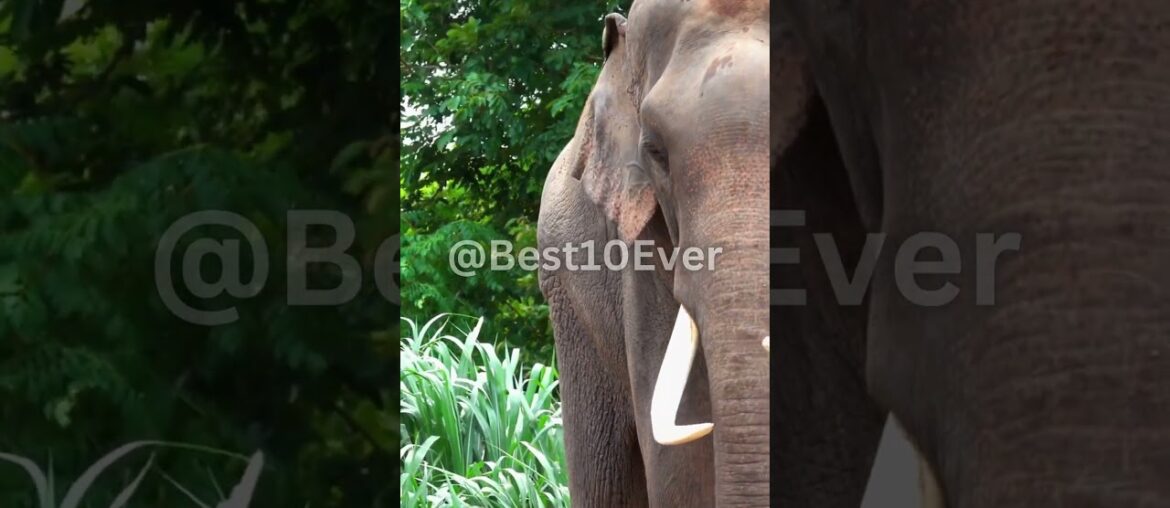 Countries with the Best Food Countries with the Best Food