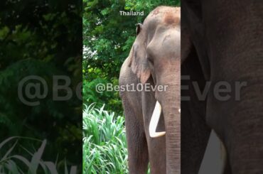 Countries with the Best Food