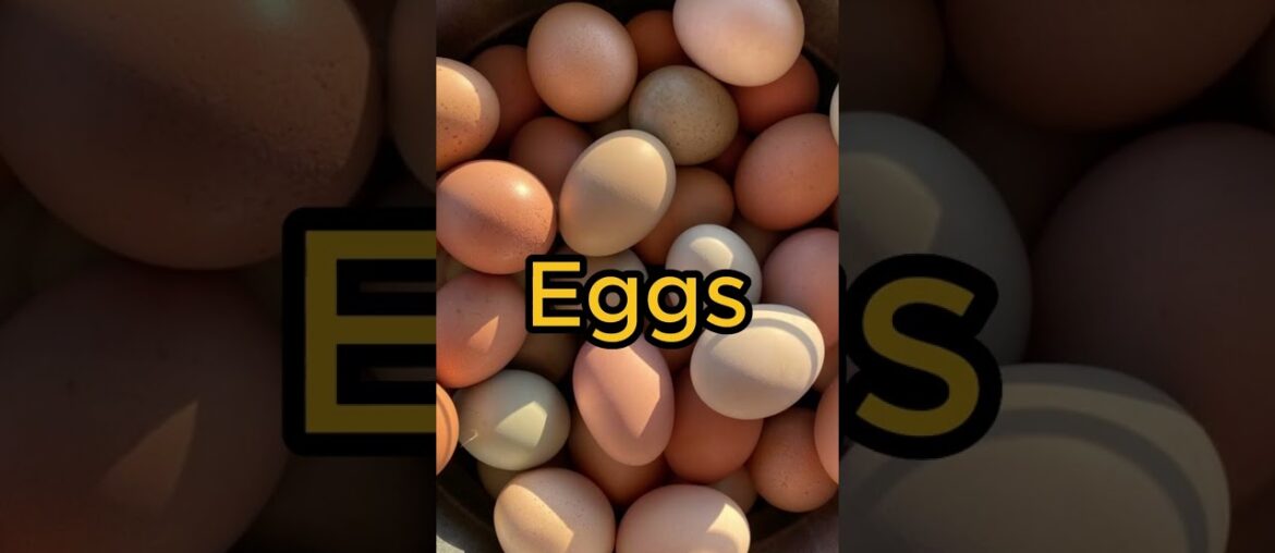 French Cooking Mastery Techniques and Recipes