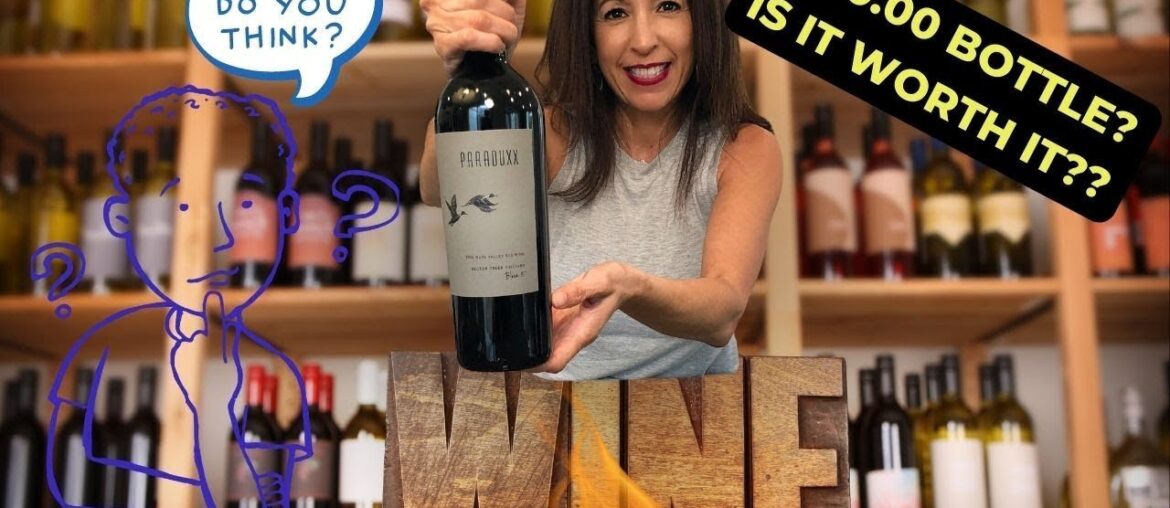 Why I drink Wine! Is $100.00 wine worth the money?
