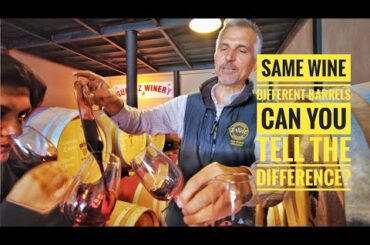 American, French and Hungarian Oak Barrels Tasted Blind to find out the difference