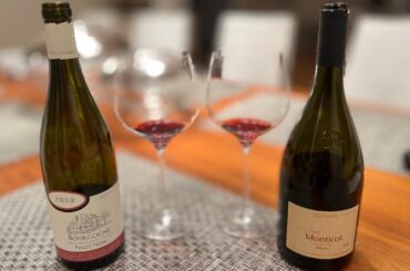 Pinot Noir Comparative Tasting Domaine Roblot 2020 Bourgogne & Cantina Terlano 2019 Monticol Riserva