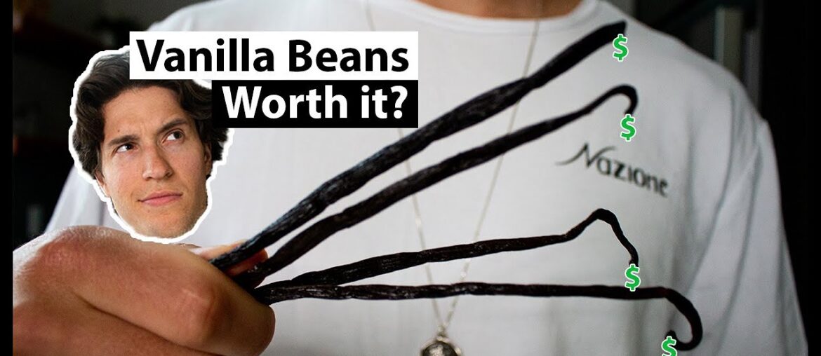 Do Vanilla Beans Make a Difference?