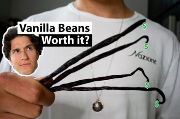 Do Vanilla Beans Make a Difference?