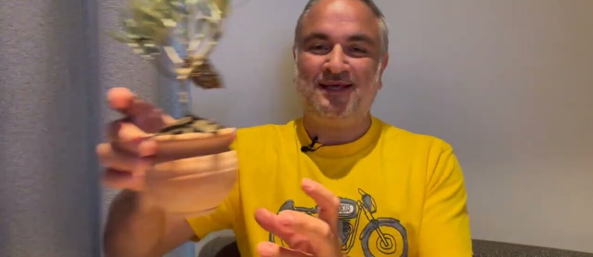 Arriving in Paris. A Fine Dining Experience Dinner. Meeting Elie Your Driver in the Capital