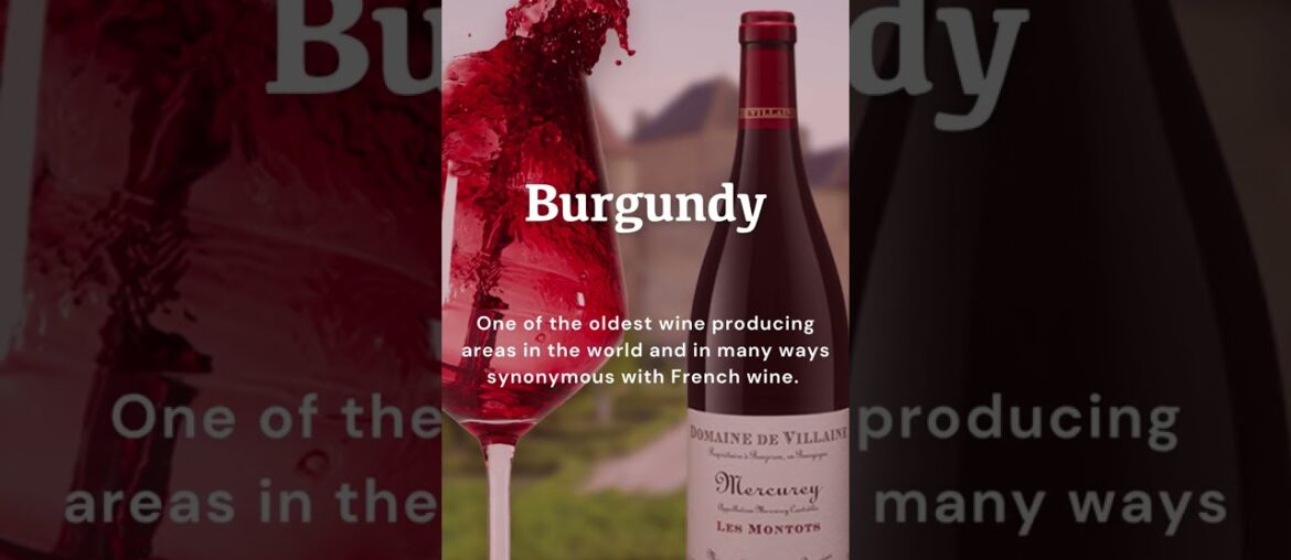 French wine and the great French wine regions call for a wine journey, see this reel