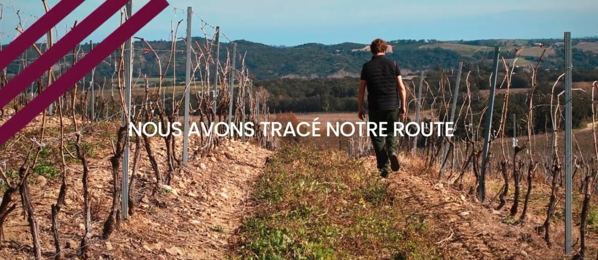 Les Vignerons d'Aghione, le terroir corse audacieux