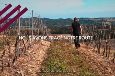 Les Vignerons d'Aghione, le terroir corse audacieux