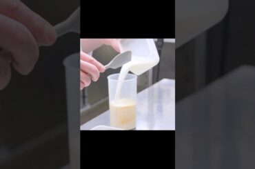 Excellent French Toast with Vegetables #shorts