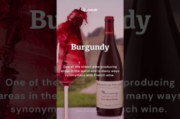 French wine and the great French wine regions call for a wine journey