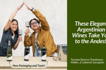 Terrazas De Los Andes Wine Tasting & Review | Winery.ph