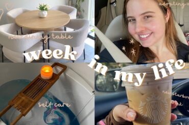 WEEKLY VLOG: trying new starbucks drink, MY DINING TABLE IS HERE, we adopted a dog & more