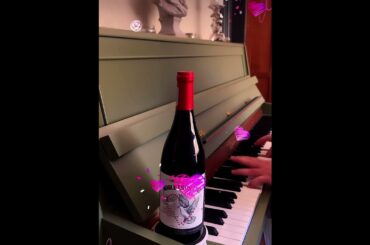 Piano & Wine - Whole lotta love