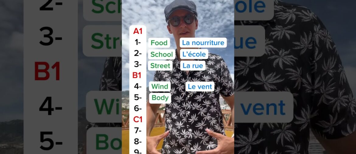 How well do you know French ? #french #fle #frenchtest #frenchvocab #frenchvocabulary #language