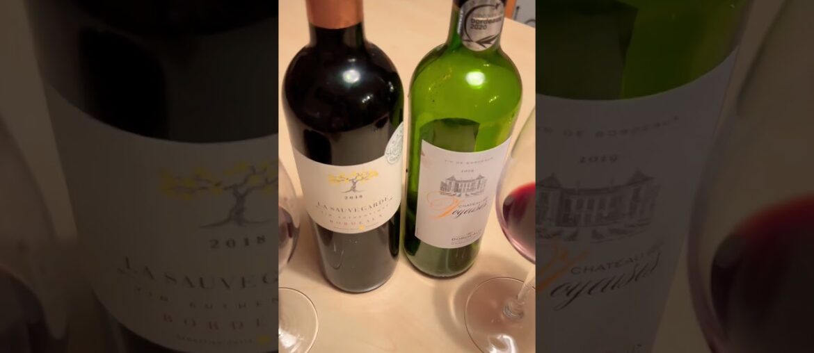 FRENCH WINE in Austria #bordeaux #redwine #shorts #trending #chilling #linzaustria #ambutravel2023