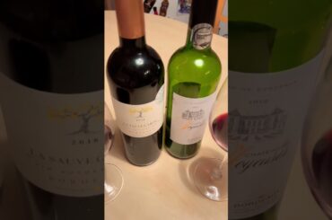 FRENCH WINE in Austria #bordeaux #redwine #shorts #trending #chilling #linzaustria #ambutravel2023