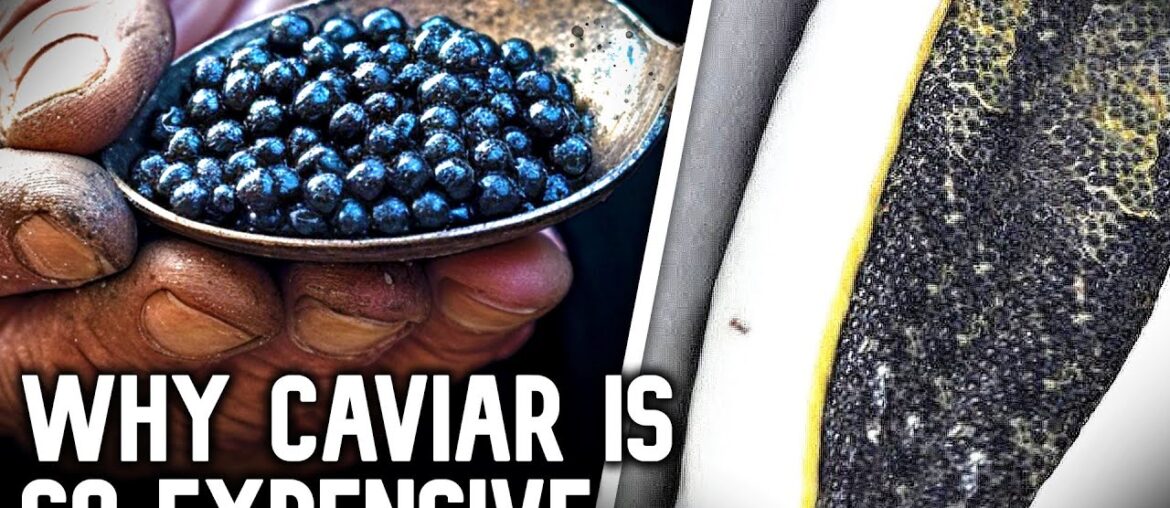 How Caviar Went from Poor Man's Food to $37,000 a Bite How Caviar Went from Poor Man's Food to $37,000 a Bite