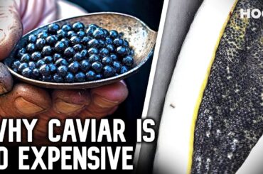 How Caviar Went from Poor Man's Food to $37,000 a Bite