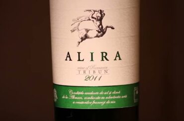 Despre Alira Tribun 2011