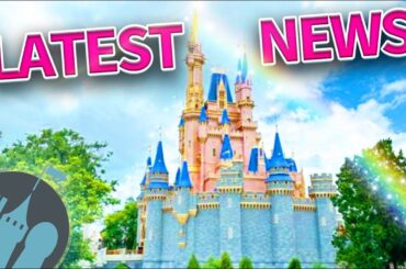 Latest Disney News: A New Bar, Fireworks Updates, A Missing Animatronic & MORE!