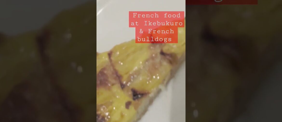 French food and dogs! #shorts #youtubeshorts #japan #food #foodie #dogs #frenchbulldog