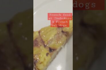 French food and dogs! #shorts #youtubeshorts #japan #food #foodie #dogs #frenchbulldog