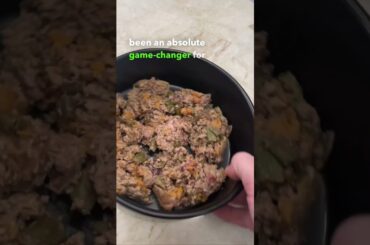 Introduction to The Frenchie Gourmet!