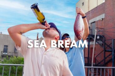 SEA BREAM + WINE + PIERCE ABERNATHY + NYC