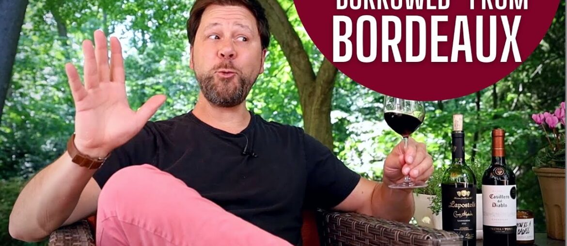 New and Interesting Wines to Try: Carmenere, Chile’s Best Red Wine? New and Interesting Wines to Try: Carmenere, Chile’s Best Red Wine?