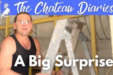 Amaury in SHOCK! | Chateau life is full of surprises...