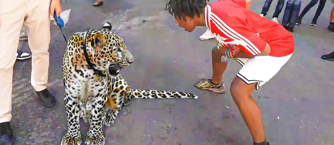 iShowSpeed's First Time In Turkey..