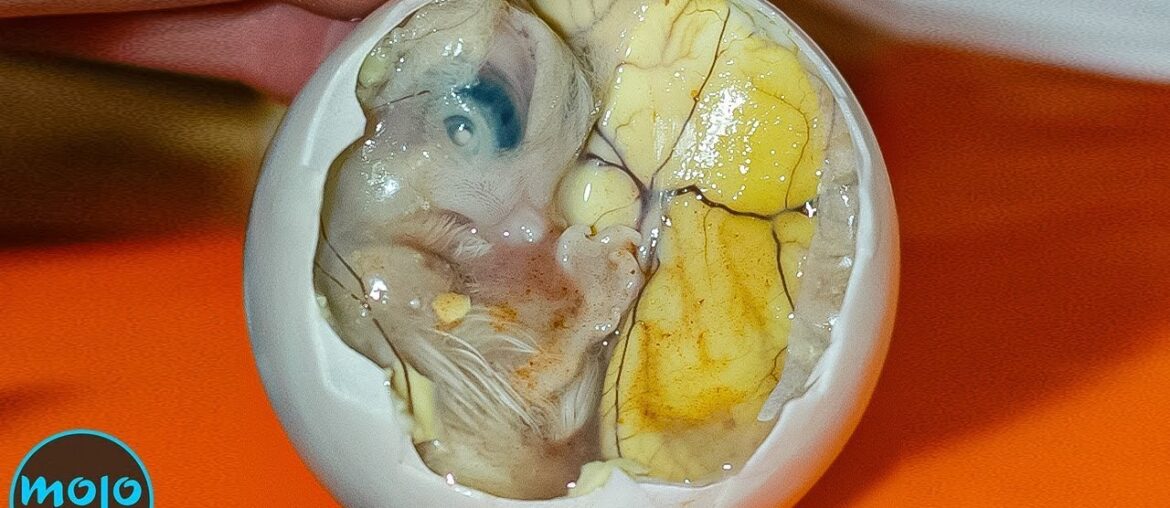 Top 10 Outrageous Food Dishes You've Never Heard Of Top 10 Outrageous Food Dishes You've Never Heard Of