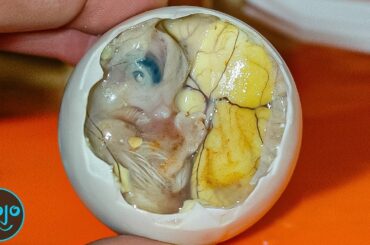 Top 10 Outrageous Food Dishes You've Never Heard Of