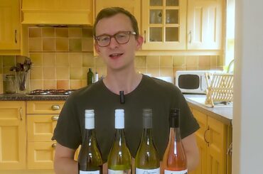 Vin de France Introduction