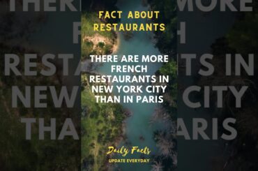 A Taste of France in the Big Apple: Exploring New York City's French Culinary Scene #dailyfac #short