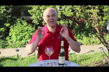 Louis Jadot Chablis 2021, Wild Wine Life