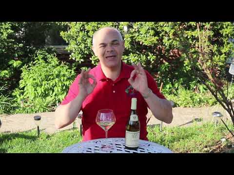 Louis Jadot Chablis 2021, Wild Wine Life Louis Jadot Chablis 2021, Wild Wine Life