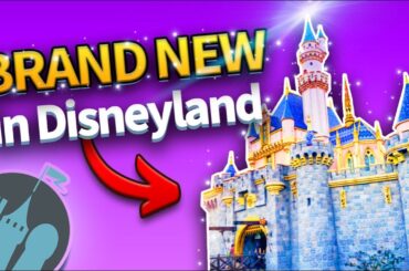 20 BRAND NEW Things Coming to Disneyland This Year