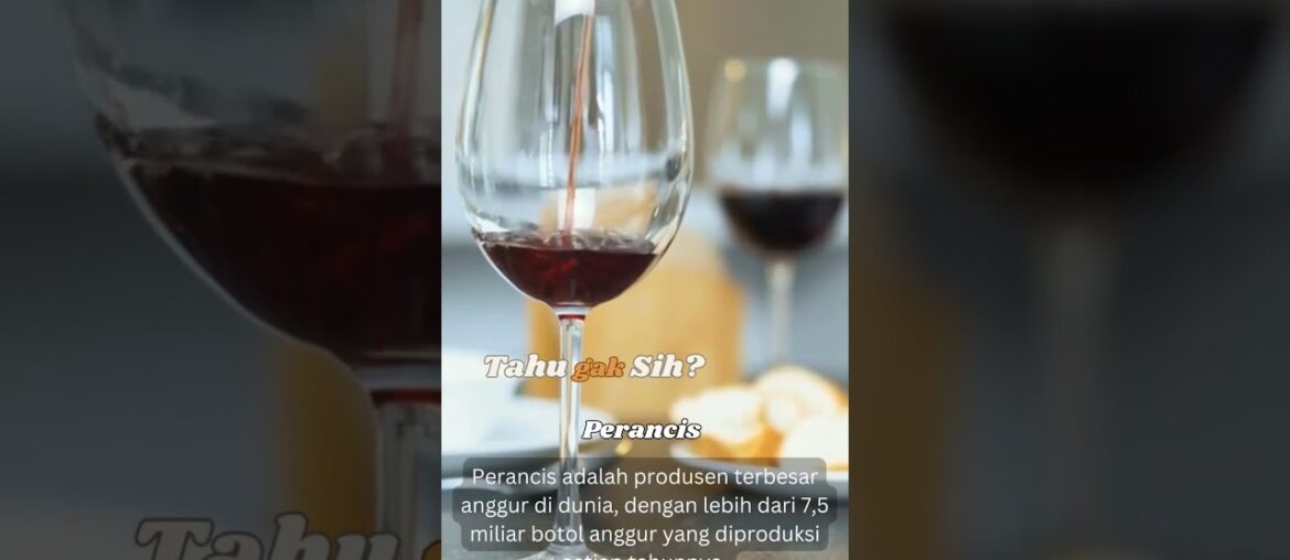 Tahu gak sih? #perancis #france #wine #anggur #short