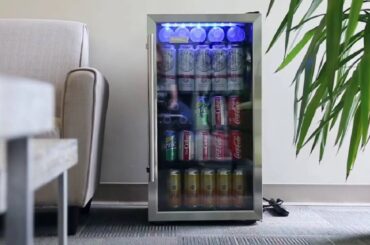 Top 5 Best Beverage Coolers You Can Buy In 2023