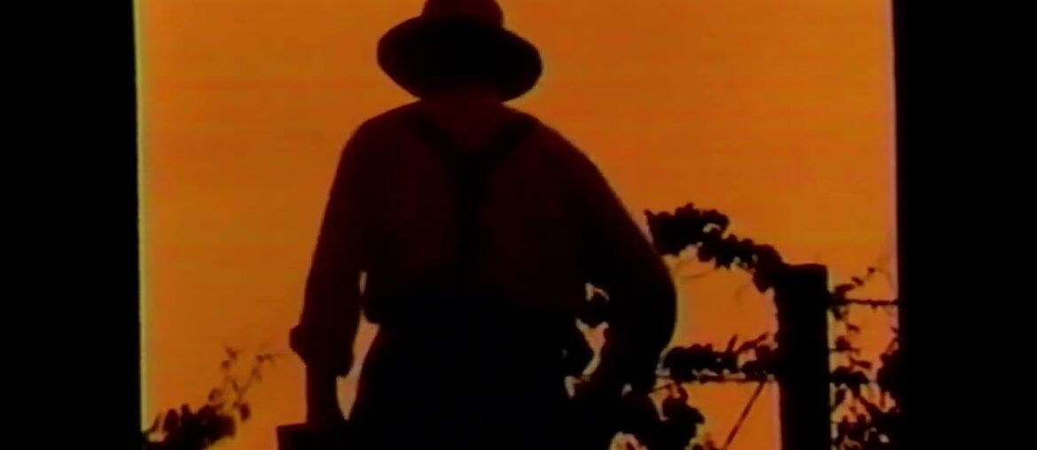 PELLER ESTATES French Cross white wine ad, 1991